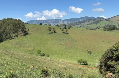 Terreno Rural para venda em Dom Viçoso MG