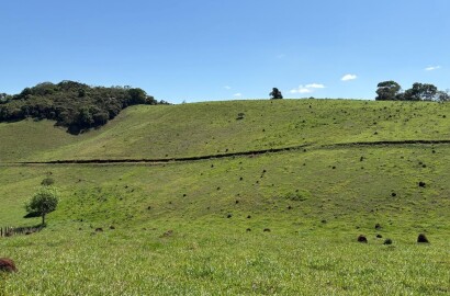 Terreno Rural para venda em Dom Viçoso MG