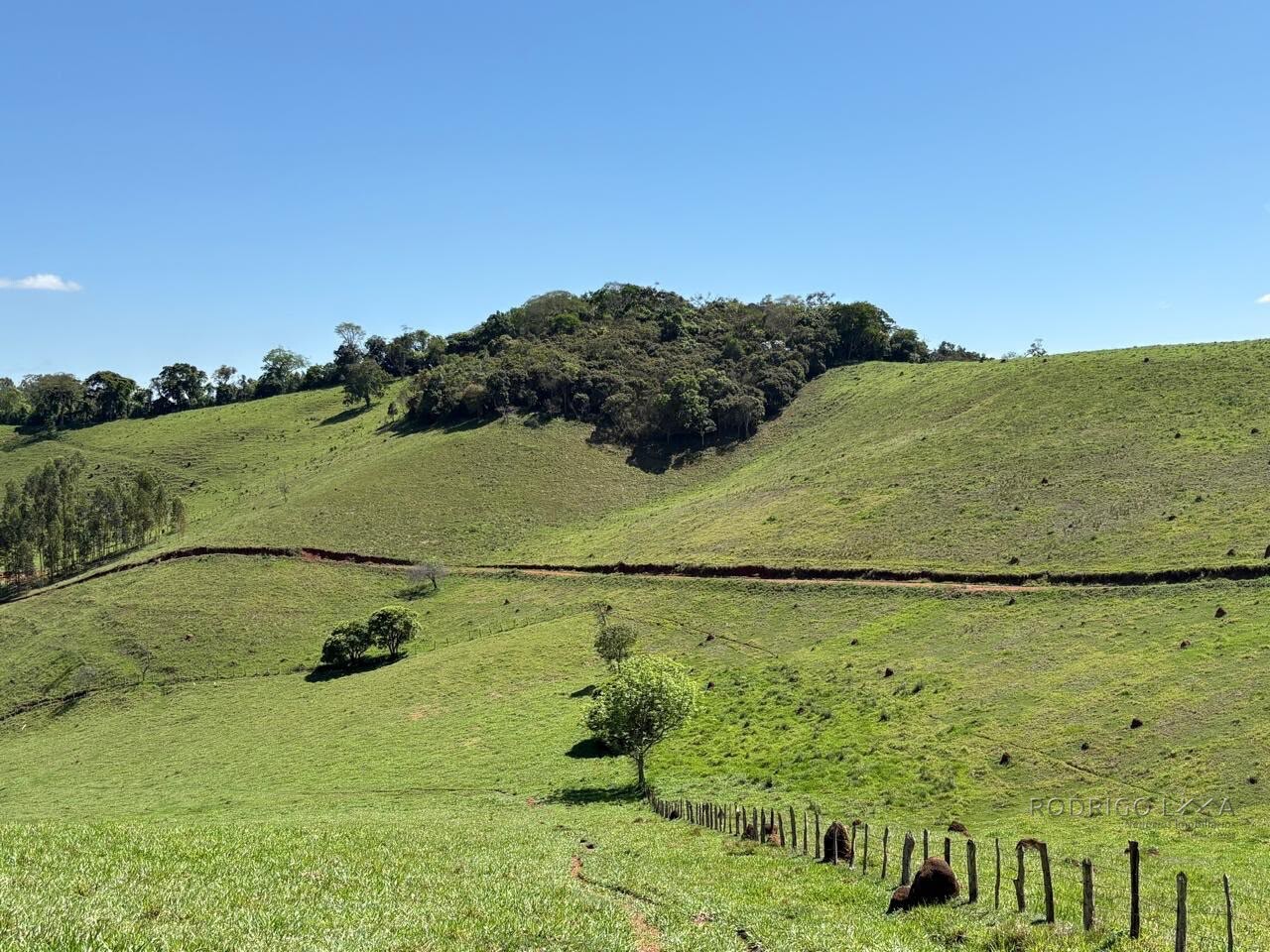 Terreno Rural para venda em Dom Viçoso MG