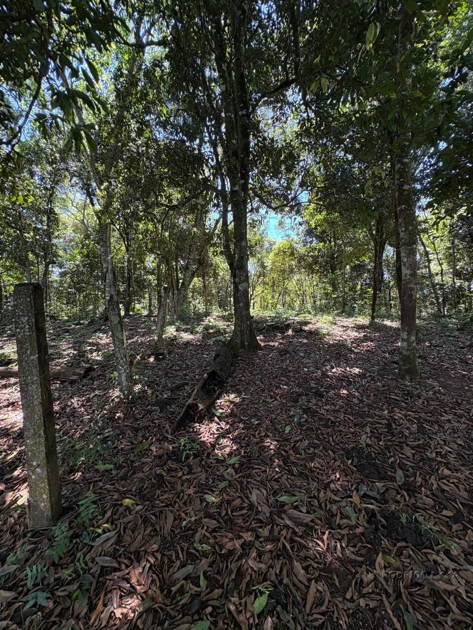Terreno Rural para venda em Dom Viçoso MG