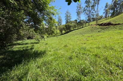 Terreno Rural para venda em Dom Viçoso MG