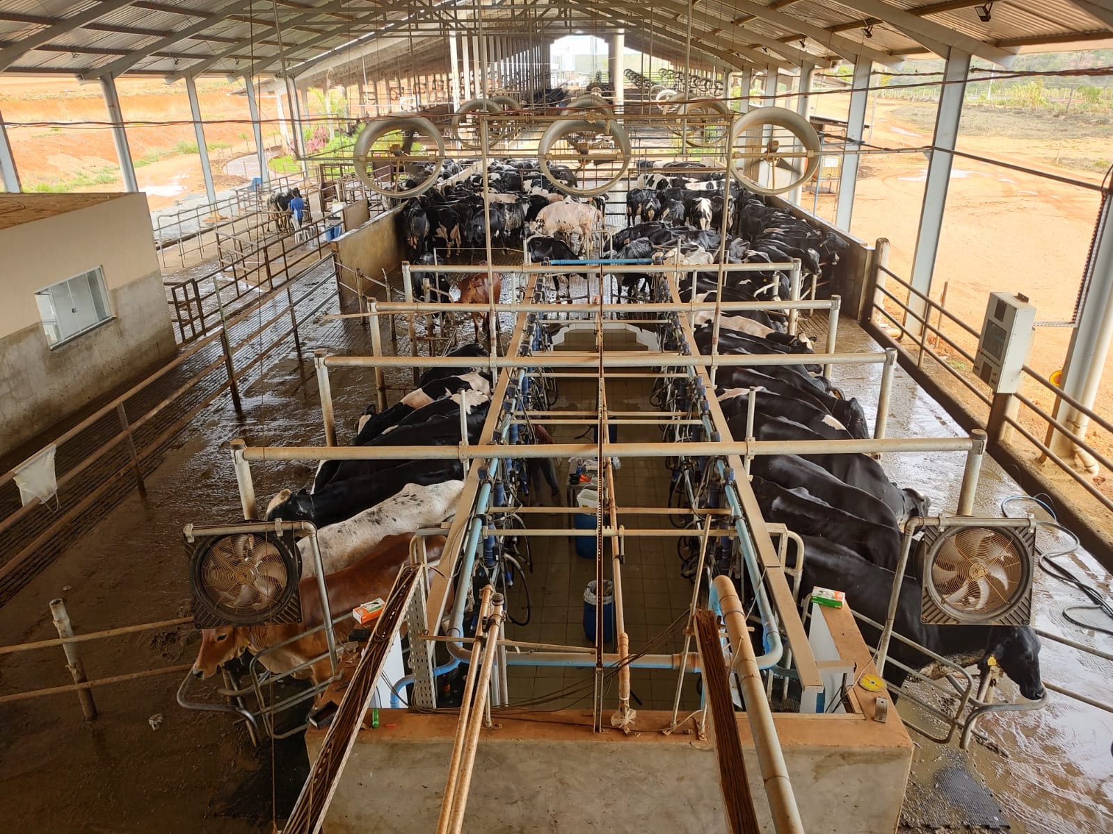 Fazenda para venda em Curvelo Mg