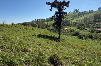 Terreno rural para venda em Dom Viçoso MG