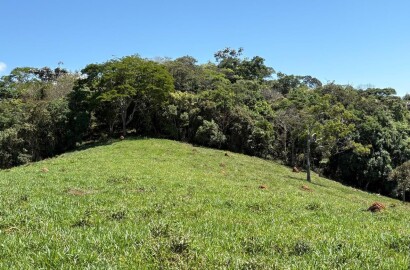 Terreno Rural para venda em Dom Viçoso MG