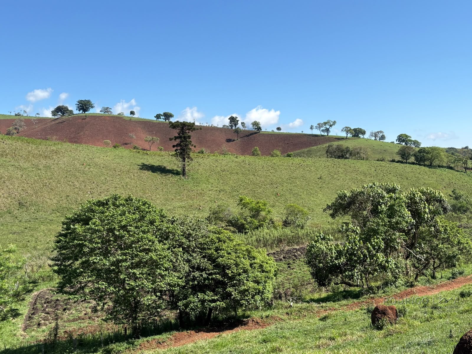 Terreno rural para venda em Dom Viçoso MG