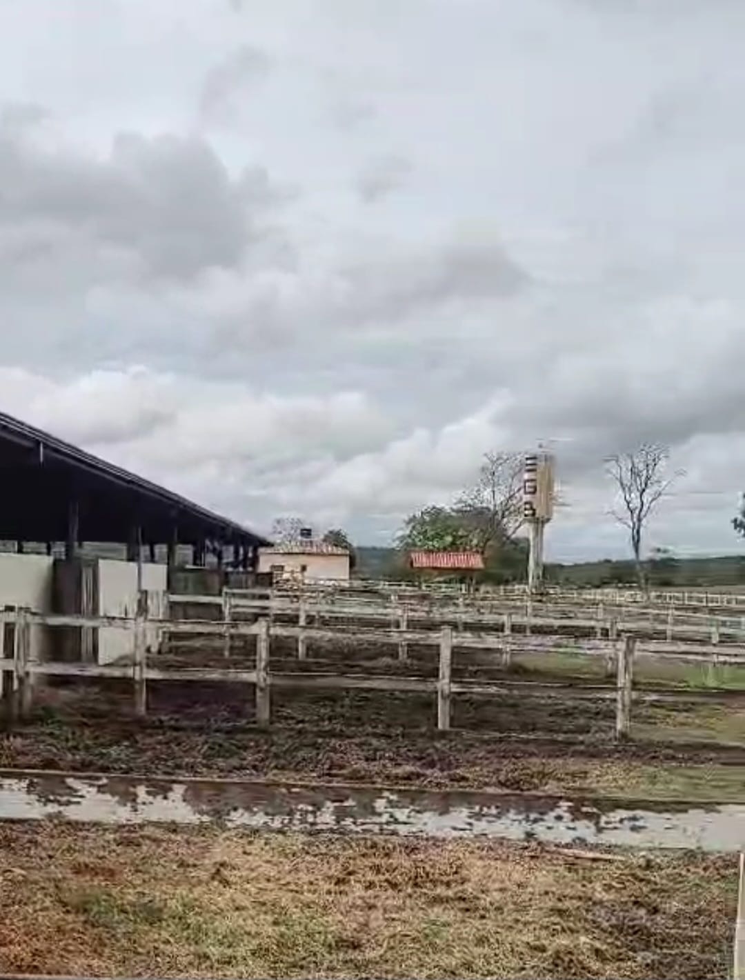 Fazenda para venda em Curvelo Mg