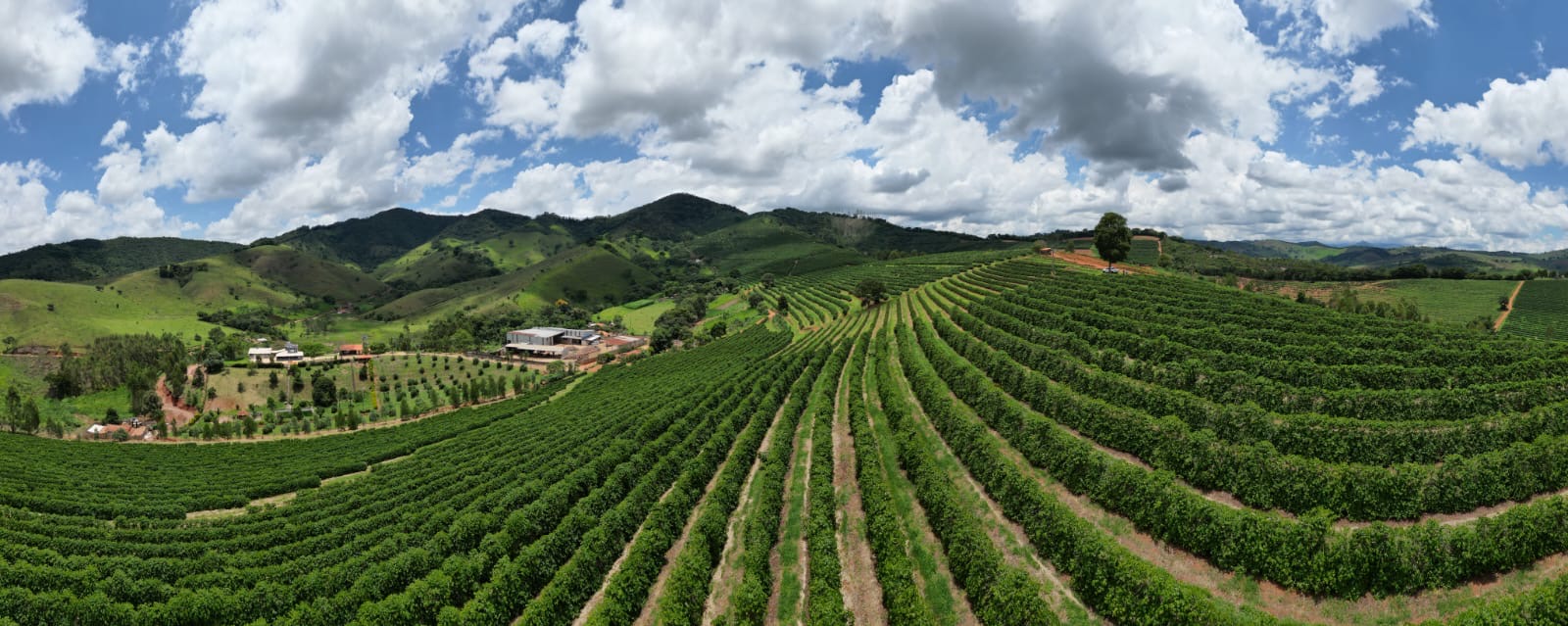 Fazenda para venda em São Lourenço Mg