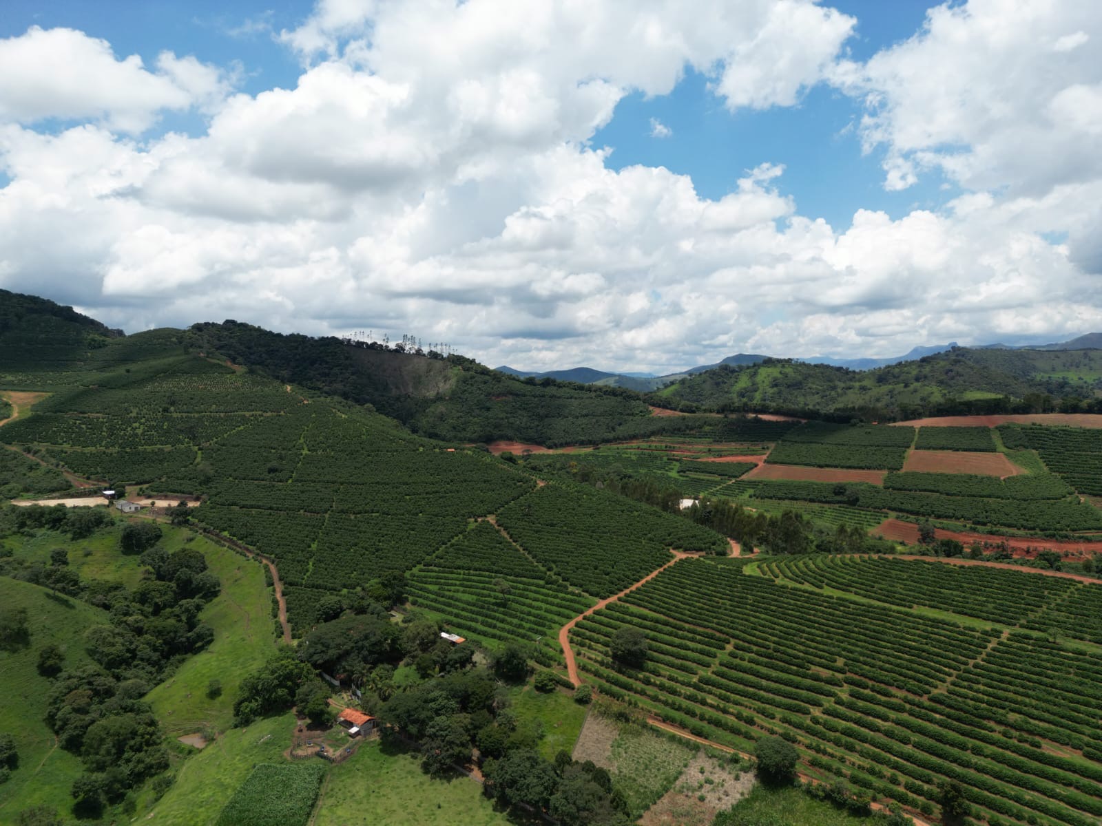 Fazenda para venda em São Lourenço Mg