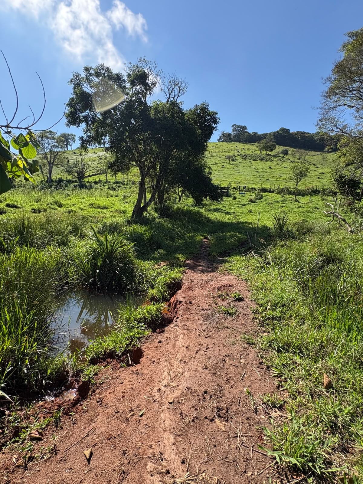 Terreno rural para venda em Dom Viçoso MG