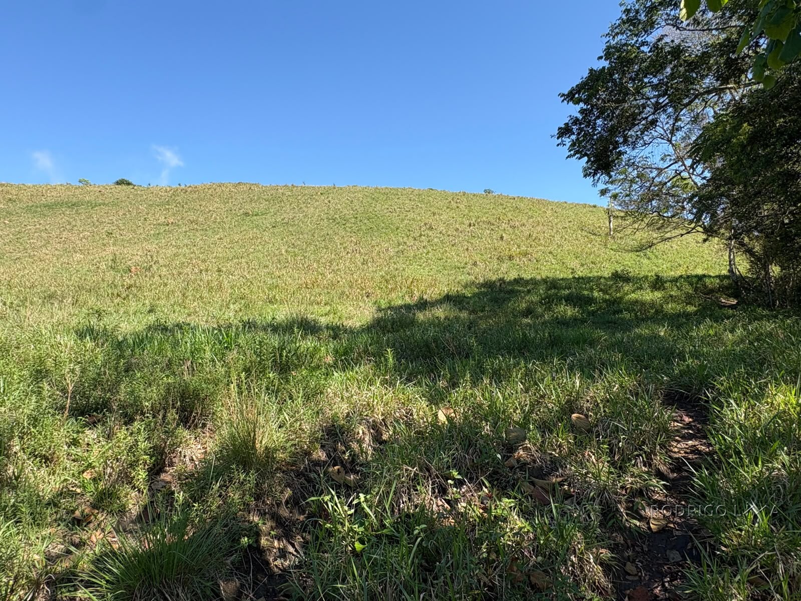 Terreno rural para venda em Dom Viçoso MG