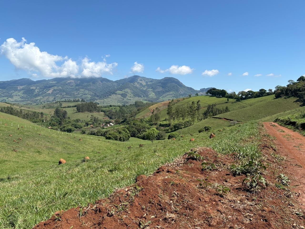 Terreno Rural para venda em Dom Viçoso MG
