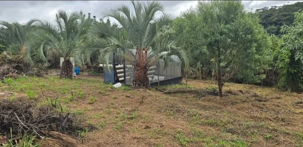 Linda Propriedade Para Venda Em São Tomé Das Letras - Mg.