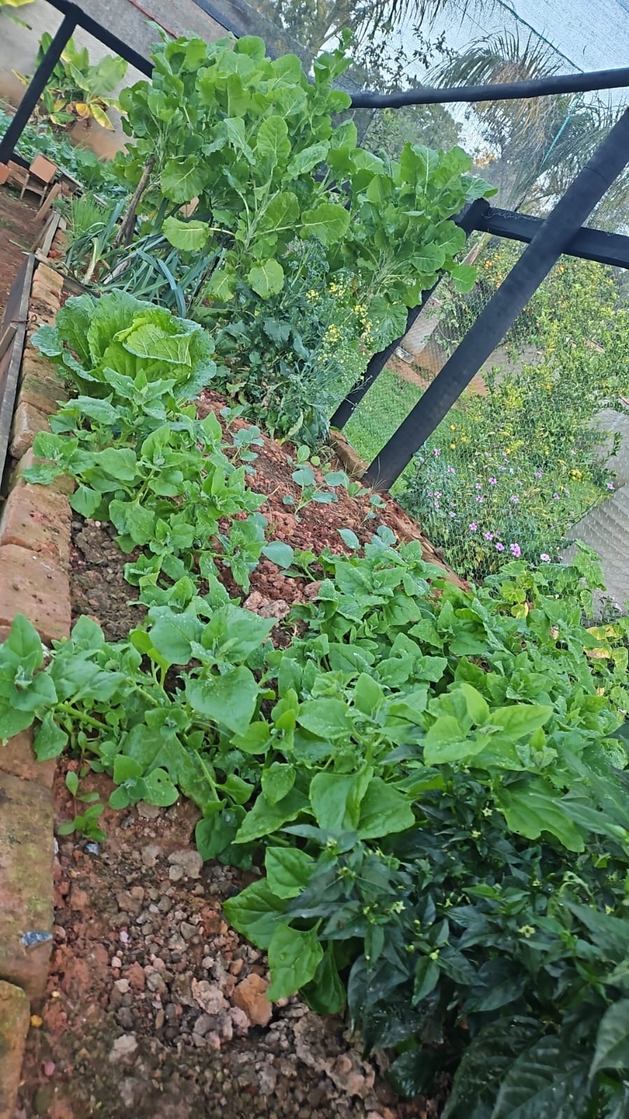 Chácara para venda em Caxambu MG.