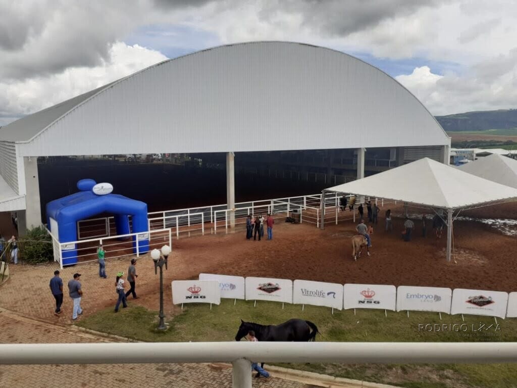 Fazenda Haras para venda na região de São Pedro SP