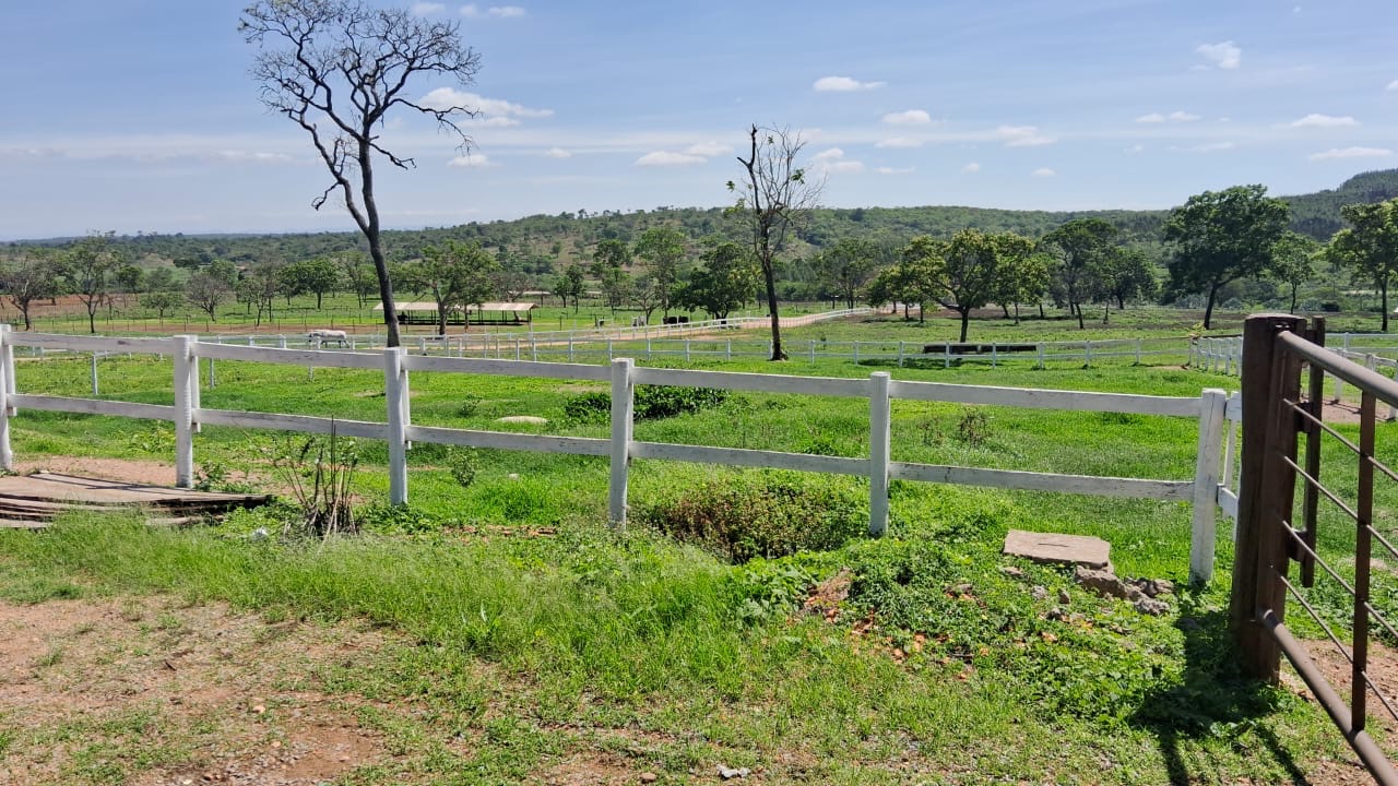 Fazenda para venda em Curvelo Mg