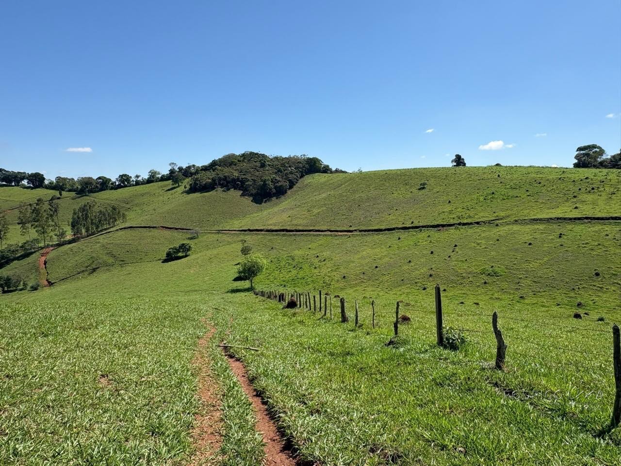 Terreno Rural para venda em Dom Viçoso MG
