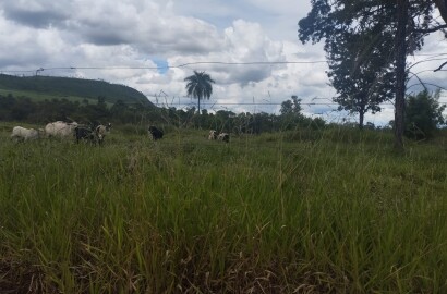 Fazenda para venda na região de Cajuru SP