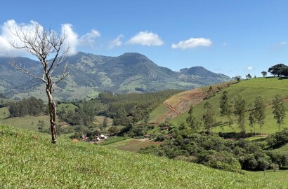 Terreno Rural para venda em Dom Viçoso MG