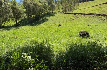Terreno Rural para venda em Dom Viçoso MG
