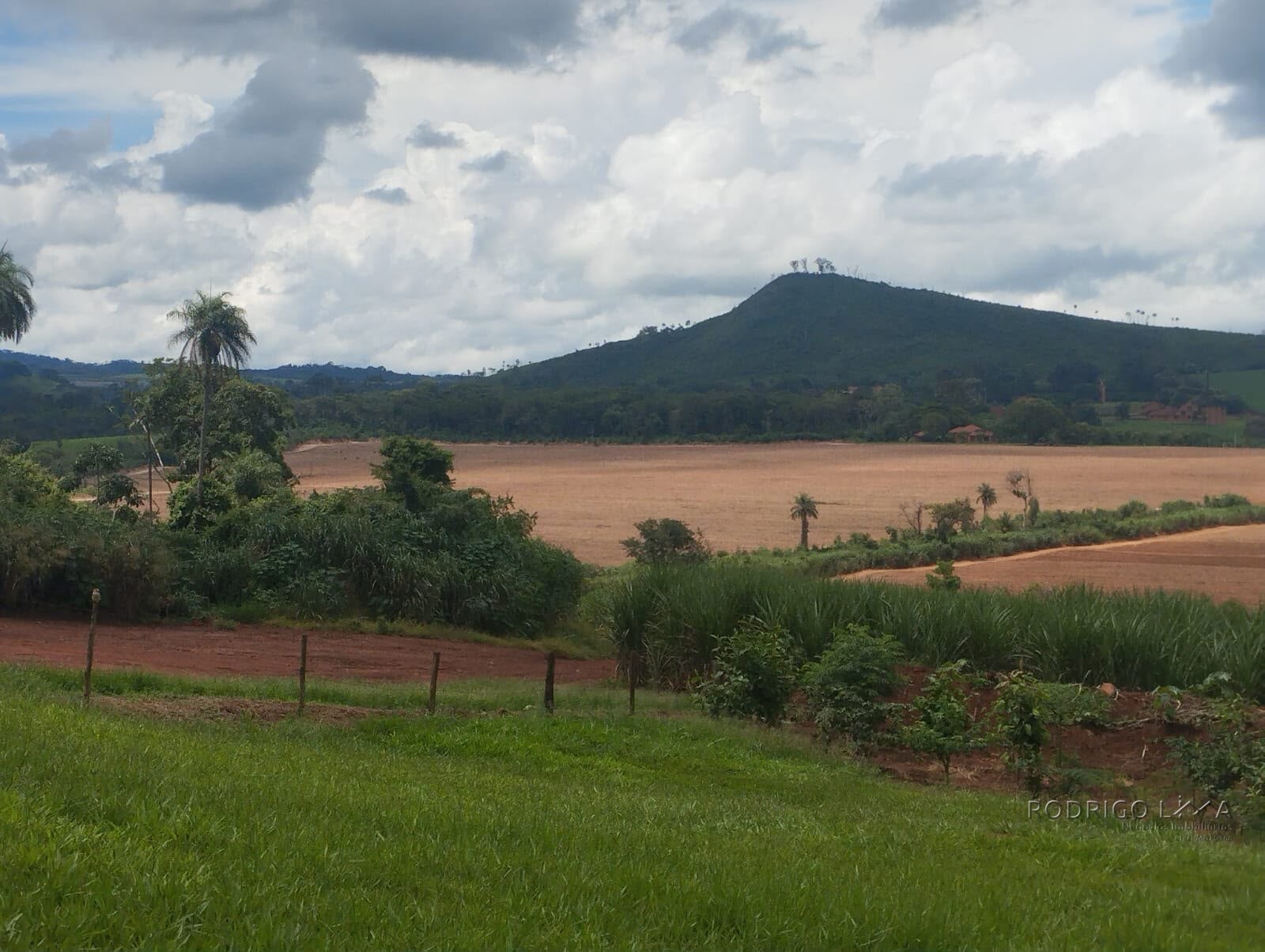 Fazenda para venda na região de Cajuru SP