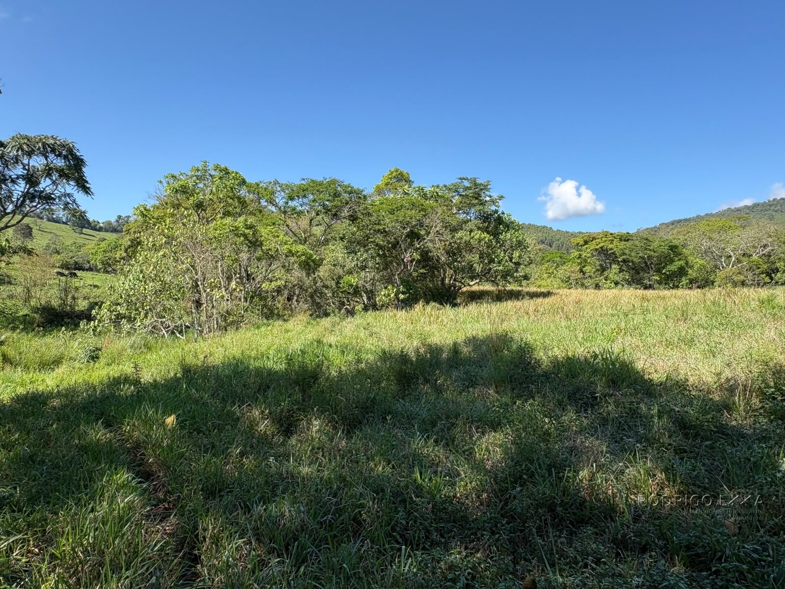 Terreno rural para venda em Dom Viçoso MG