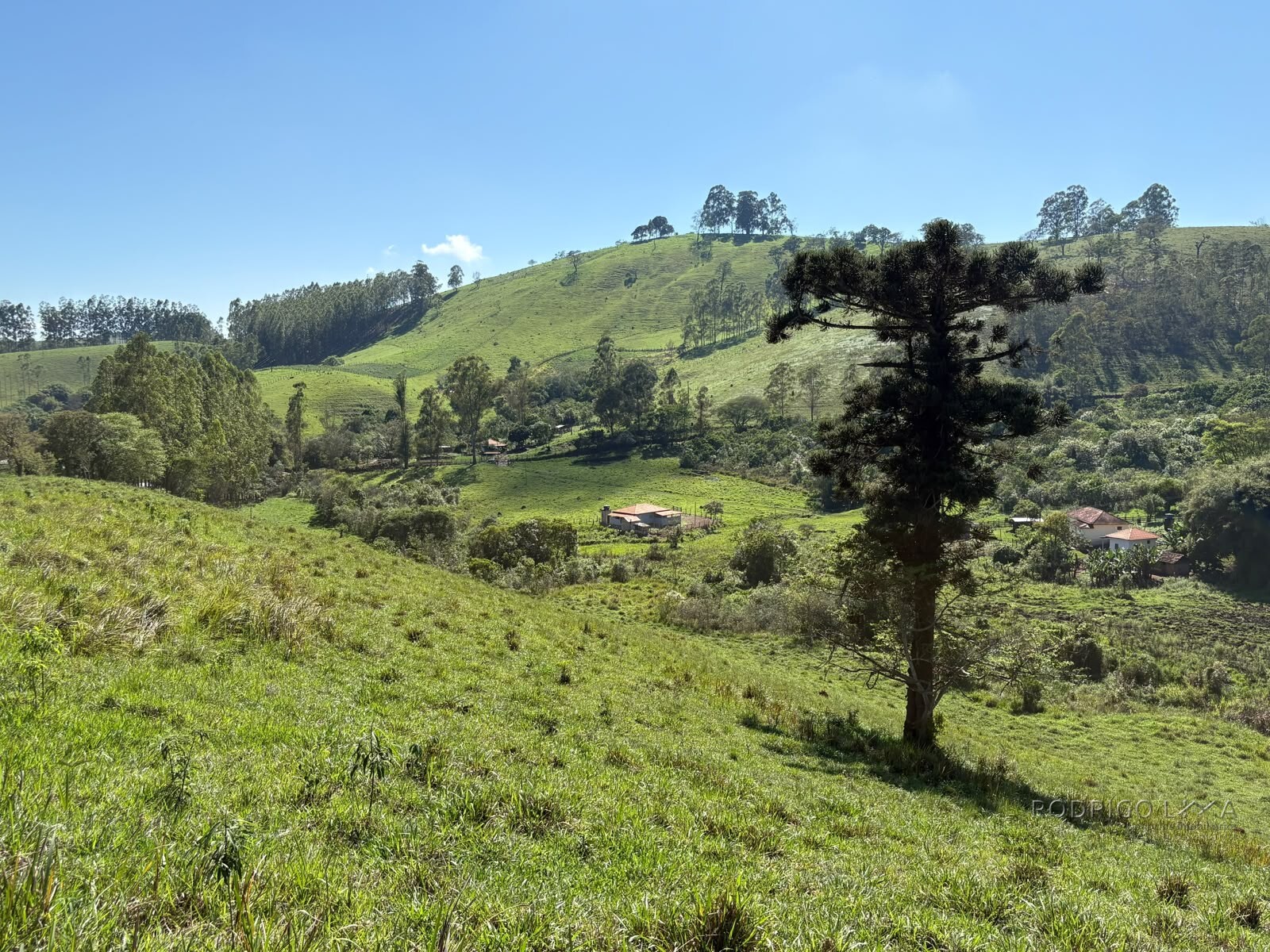 Terreno rural para venda em Dom Viçoso MG