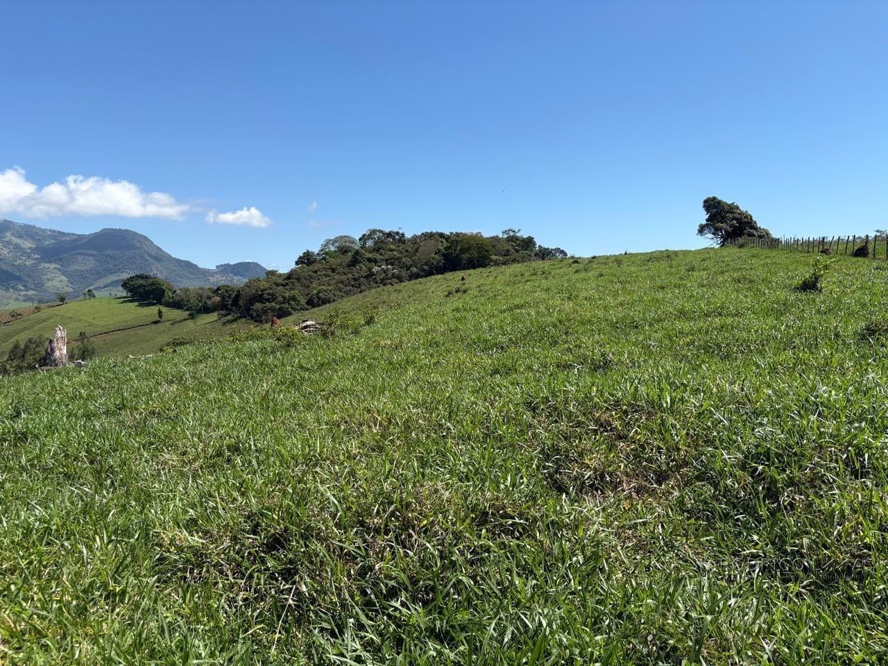 Terreno Rural para venda em Dom Viçoso MG