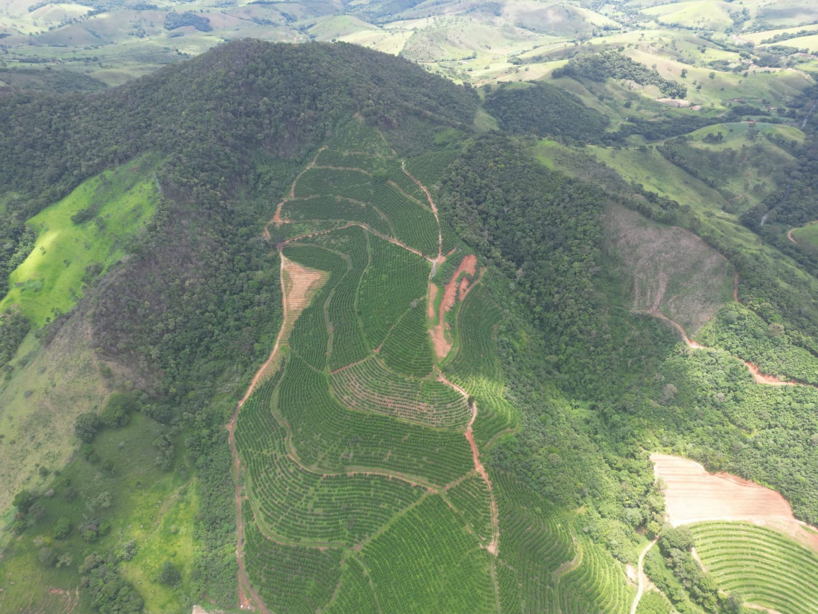 Fazenda para venda em São Lourenço Mg