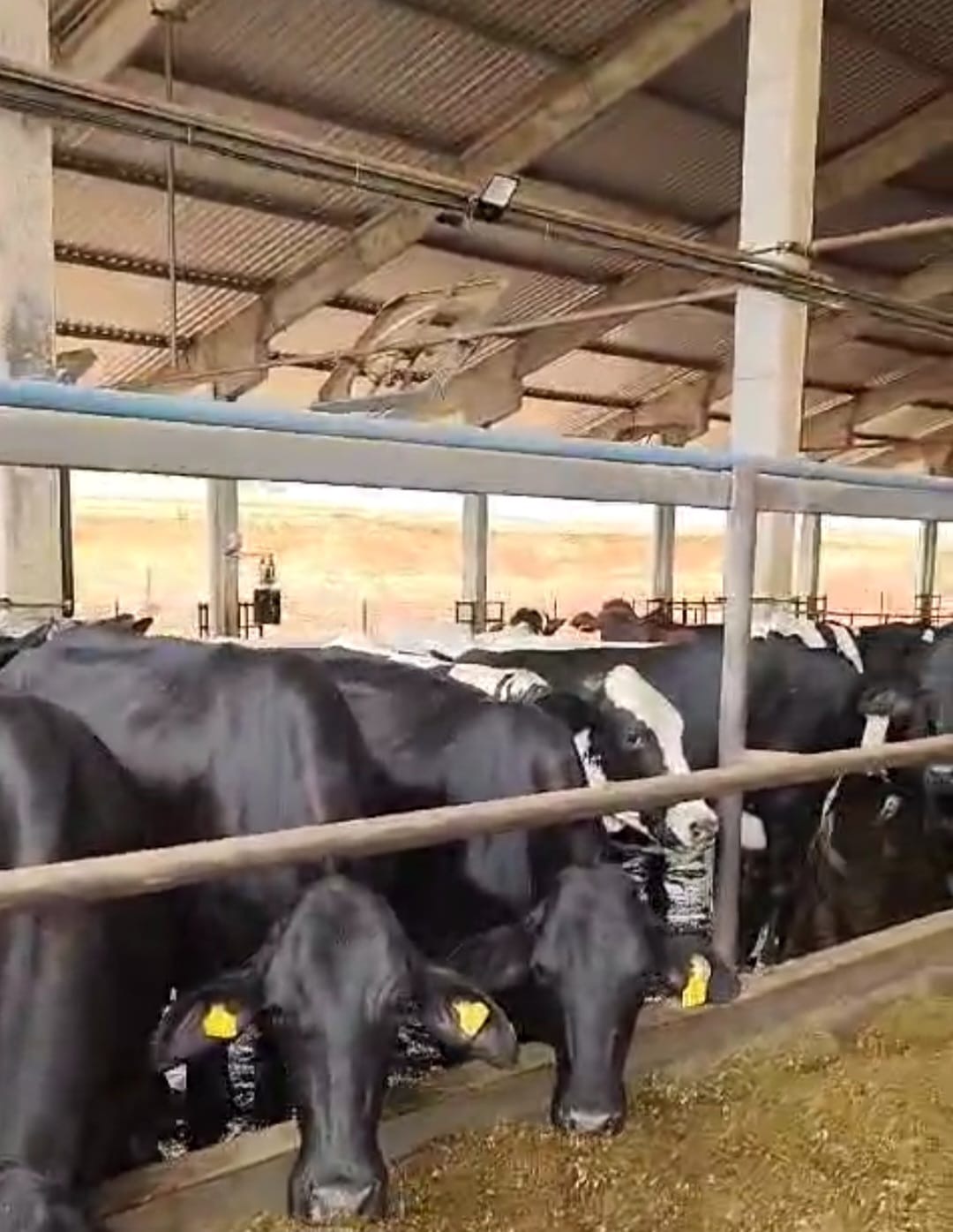 Fazenda para venda em Curvelo Mg