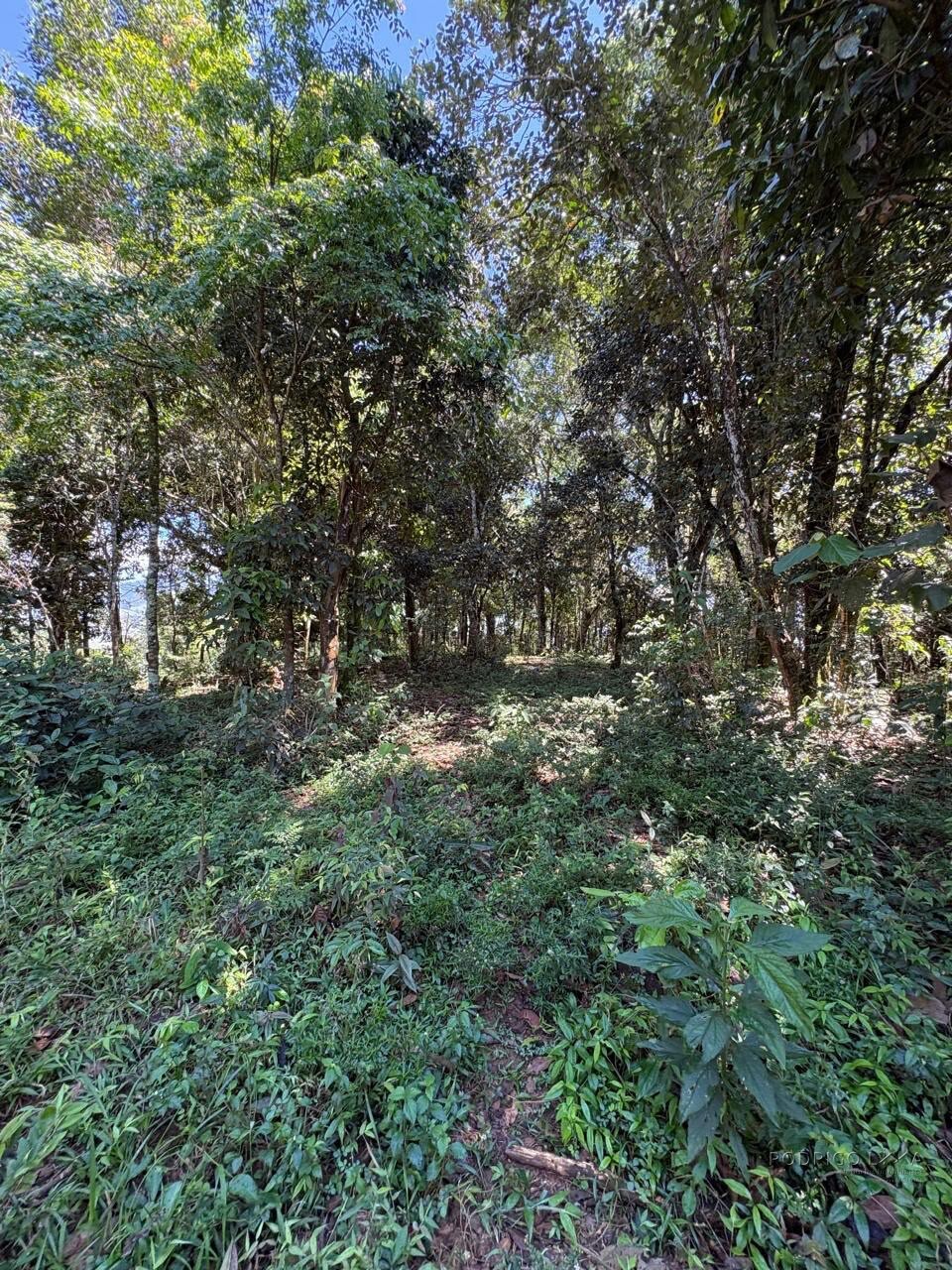 Terreno Rural para venda em Dom Viçoso MG