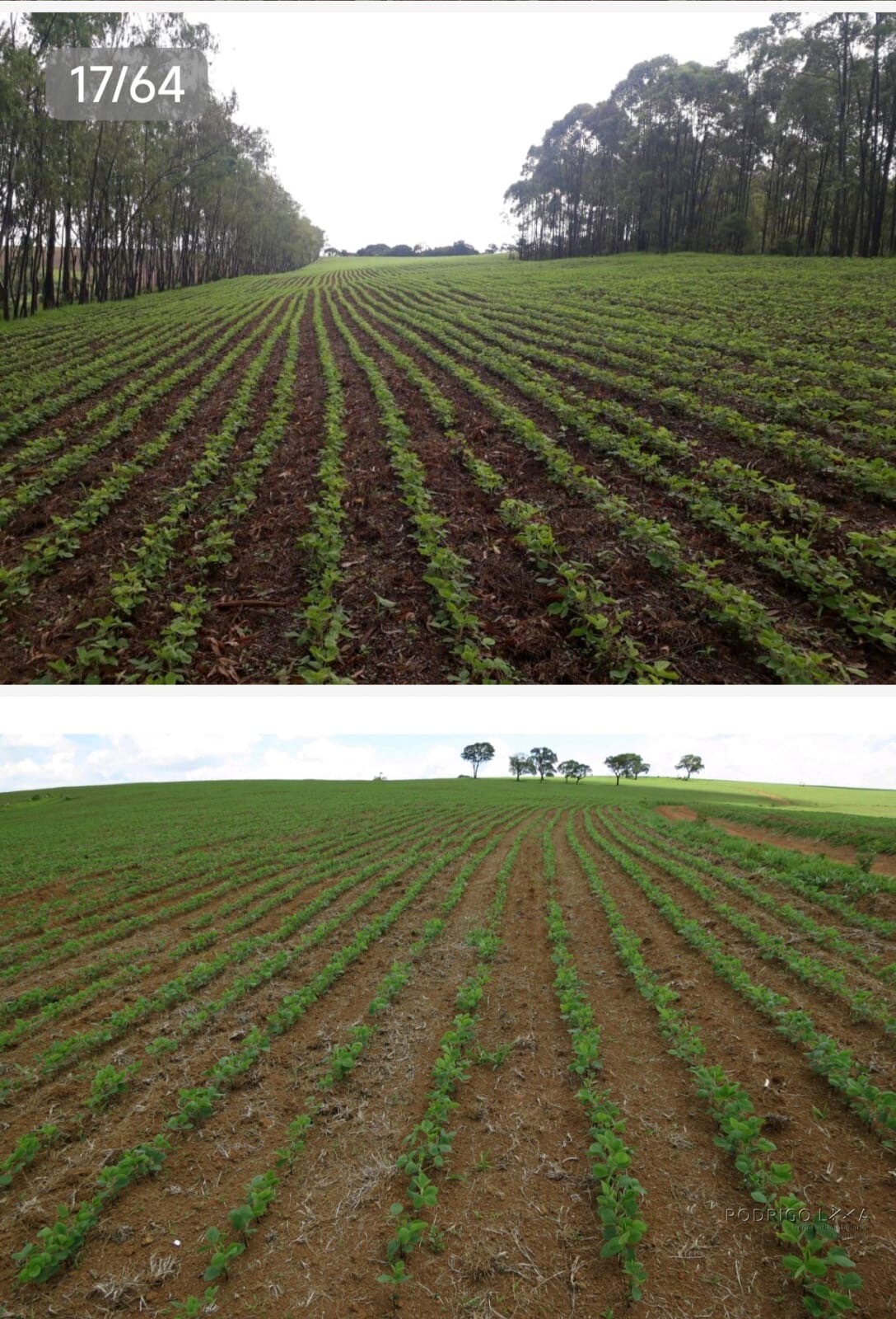 Linda fazenda para venda em Guapé - MG.