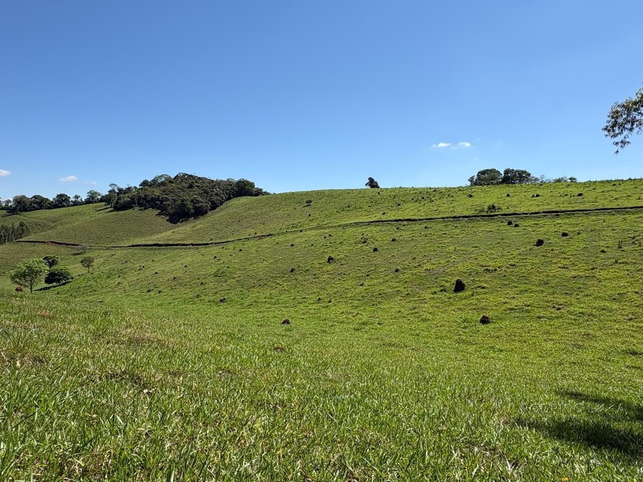Terreno Rural para venda em Dom Viçoso MG