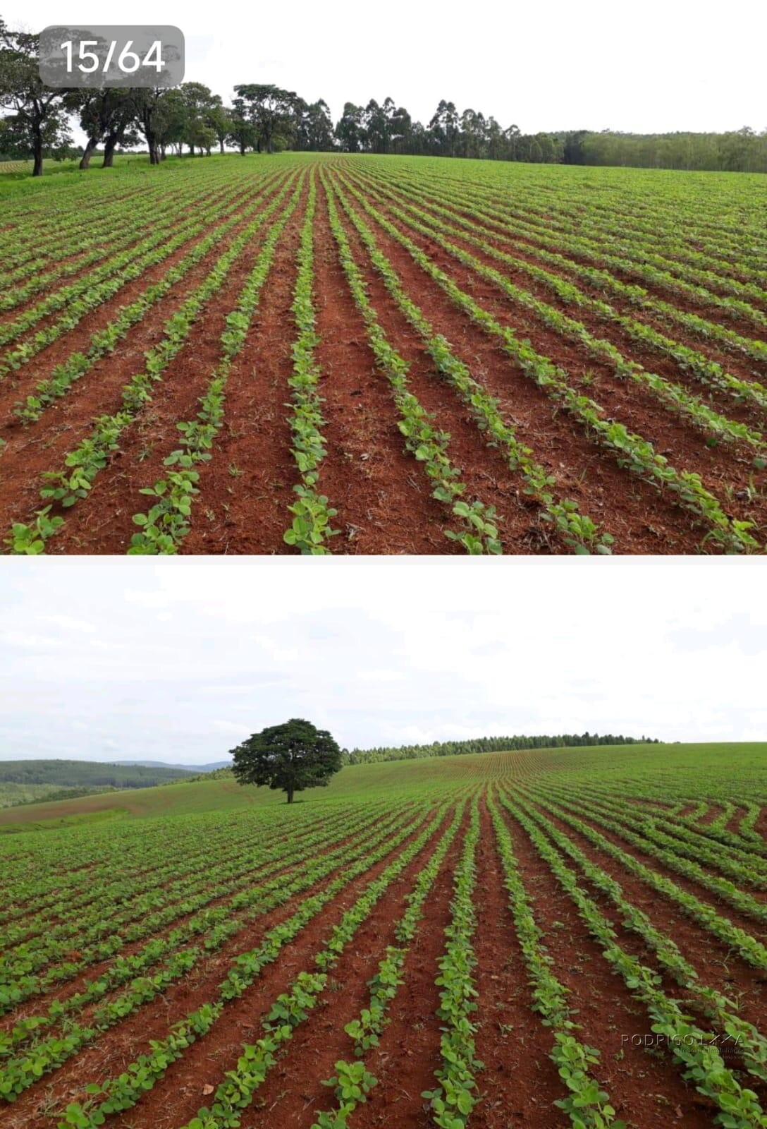 Linda fazenda para venda em Guapé - MG.