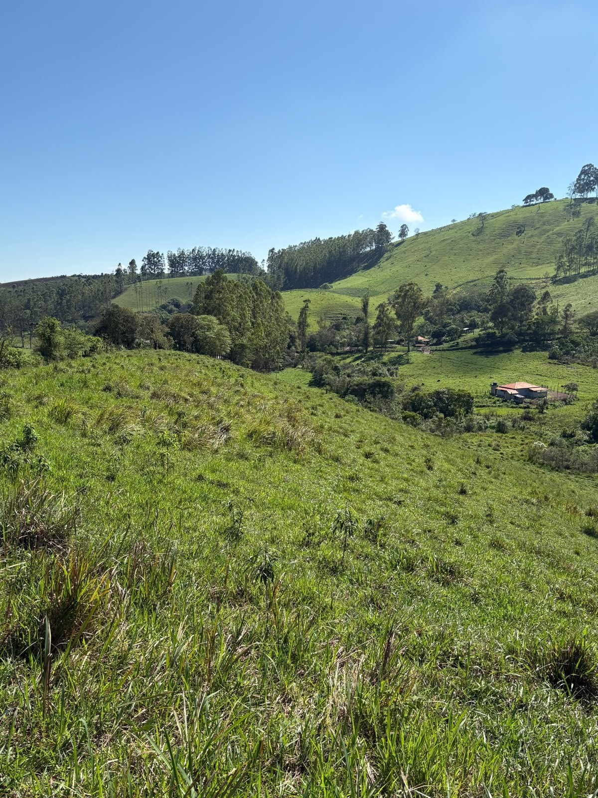 Terreno rural para venda em Dom Viçoso MG