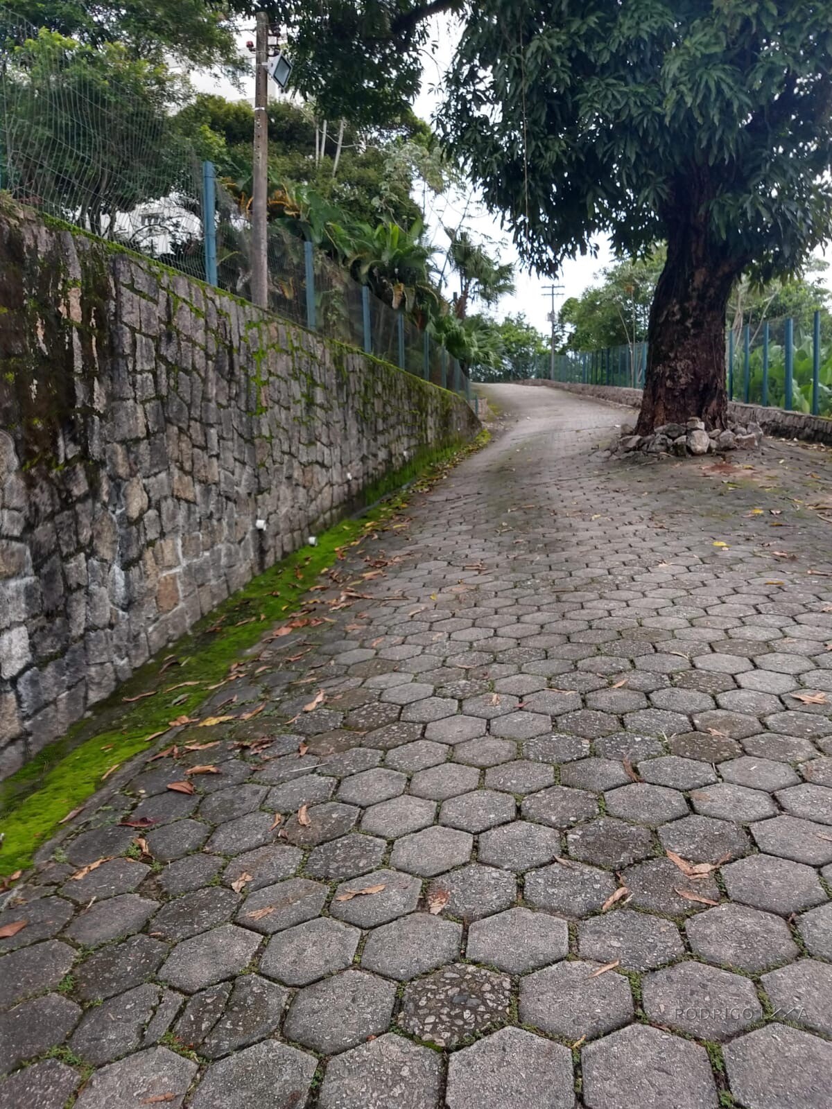 Apartamento para venda em Ubatuba - SP.