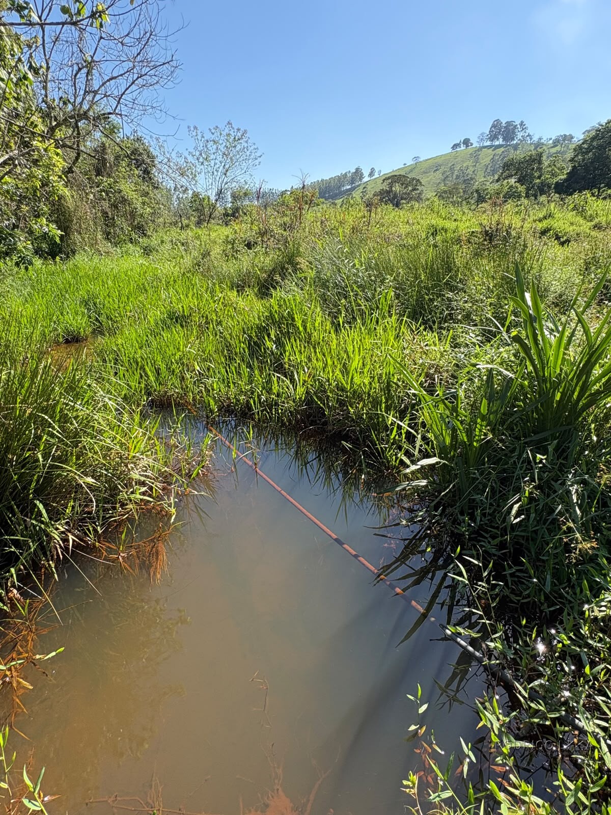 Terreno rural para venda em Dom Viçoso MG