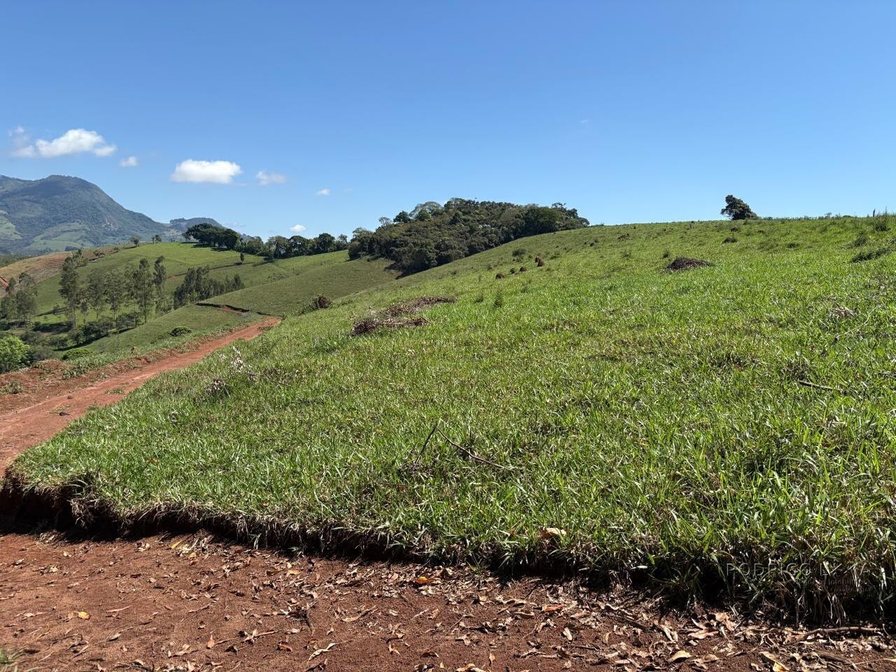 Terreno Rural para venda em Dom Viçoso MG