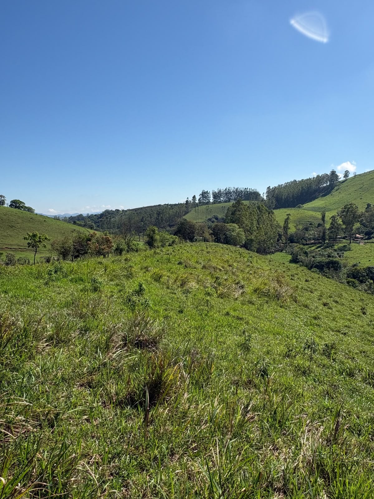 Terreno rural para venda em Dom Viçoso MG