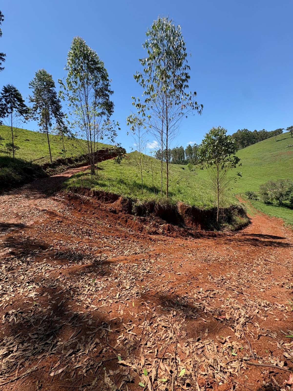 Terreno Rural para venda em Dom Viçoso MG