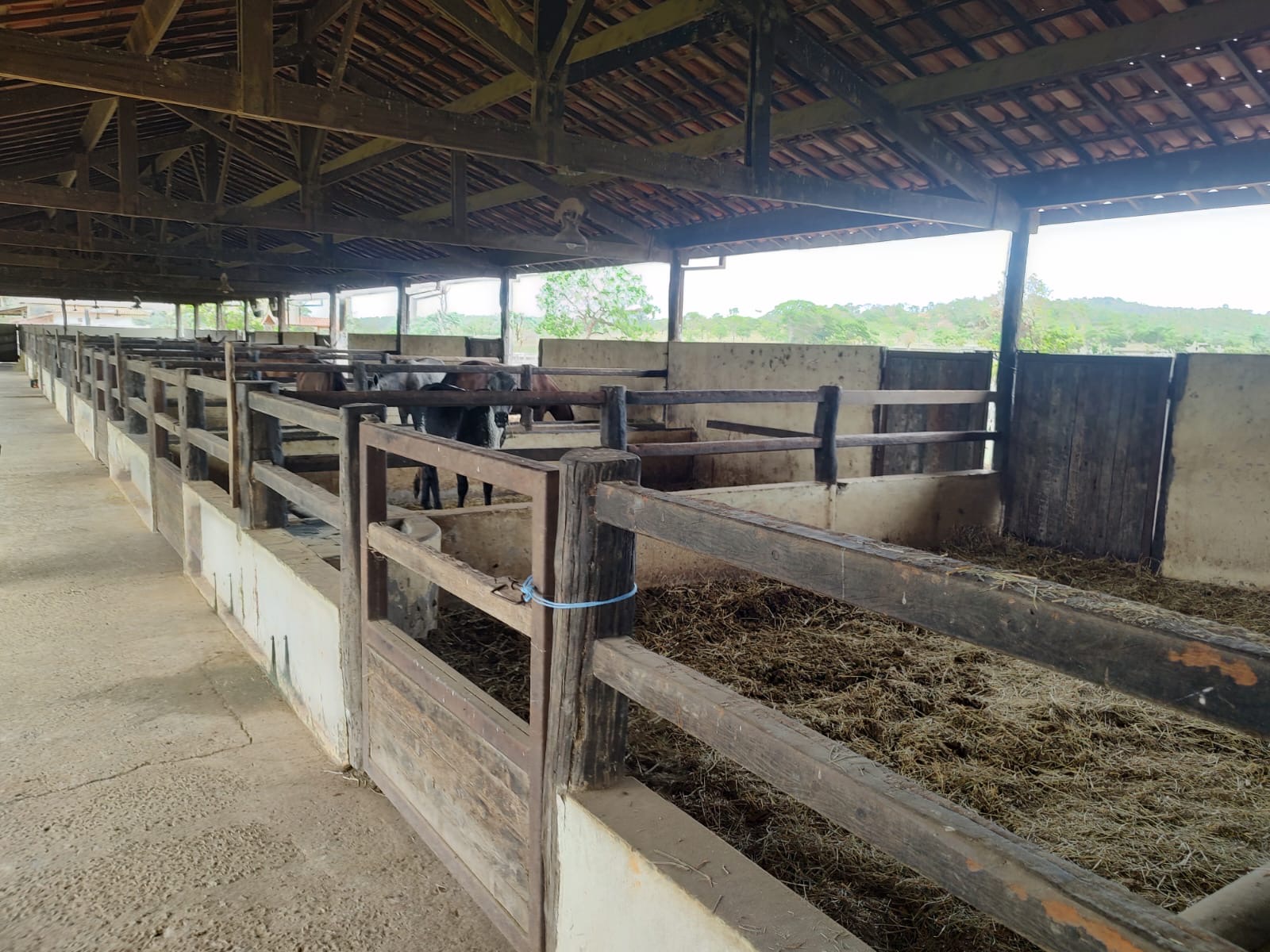 Fazenda para venda em Curvelo Mg