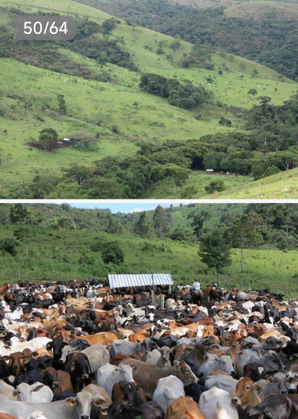 Linda fazenda para venda em Guapé - MG.