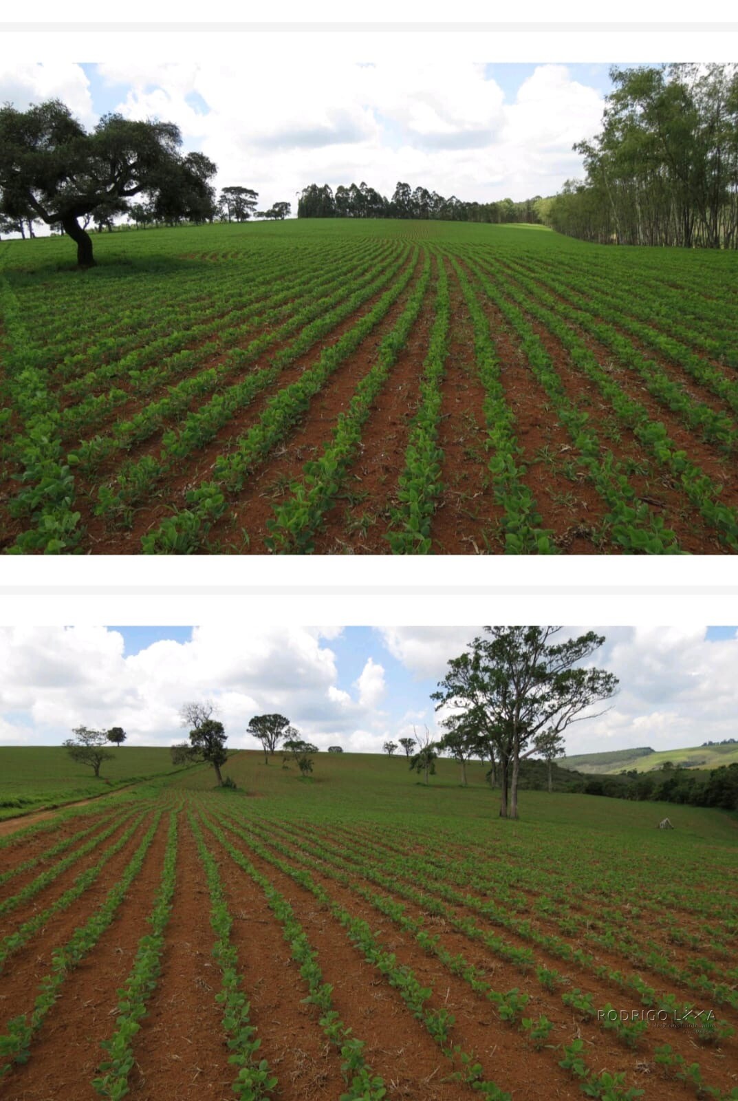 Linda fazenda para venda em Guapé - MG.