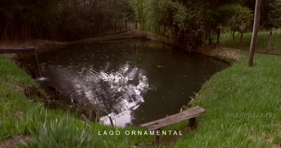 Sítio/ Haras para venda em Baependi MG