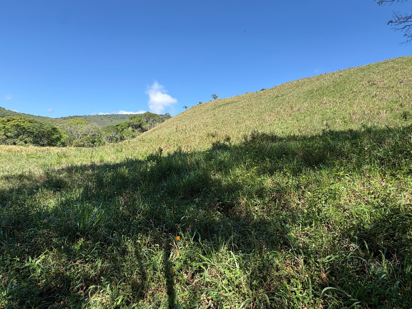 Terreno rural para venda em Dom Viçoso MG