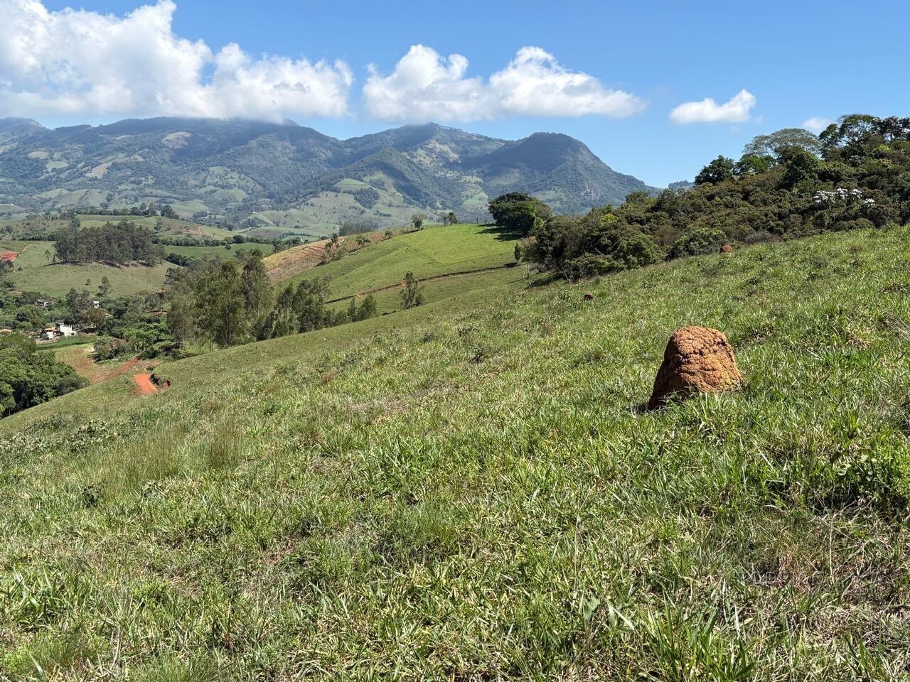 Terreno Rural para venda em Dom Viçoso MG