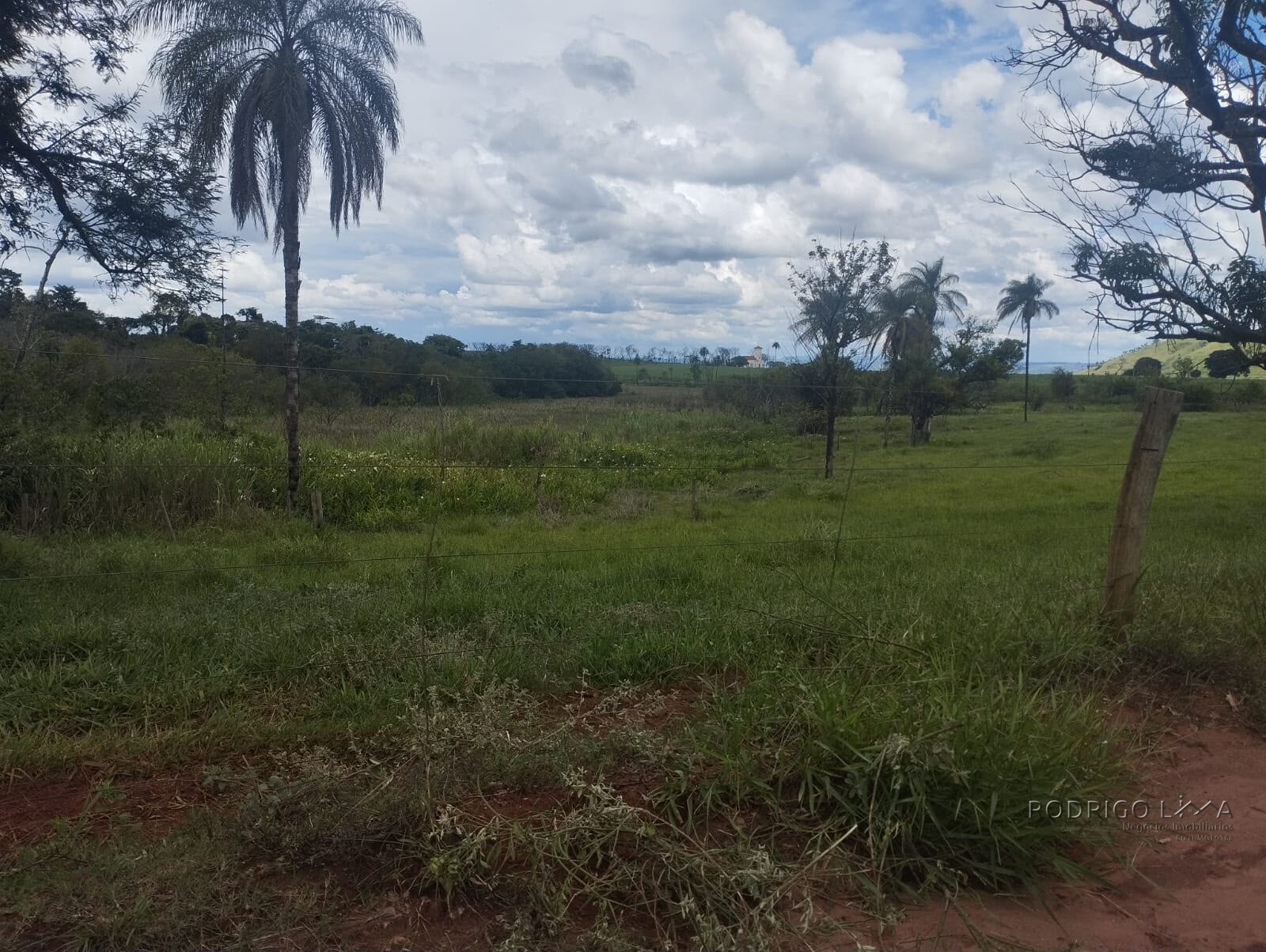 Fazenda para venda na região de Cajuru SP
