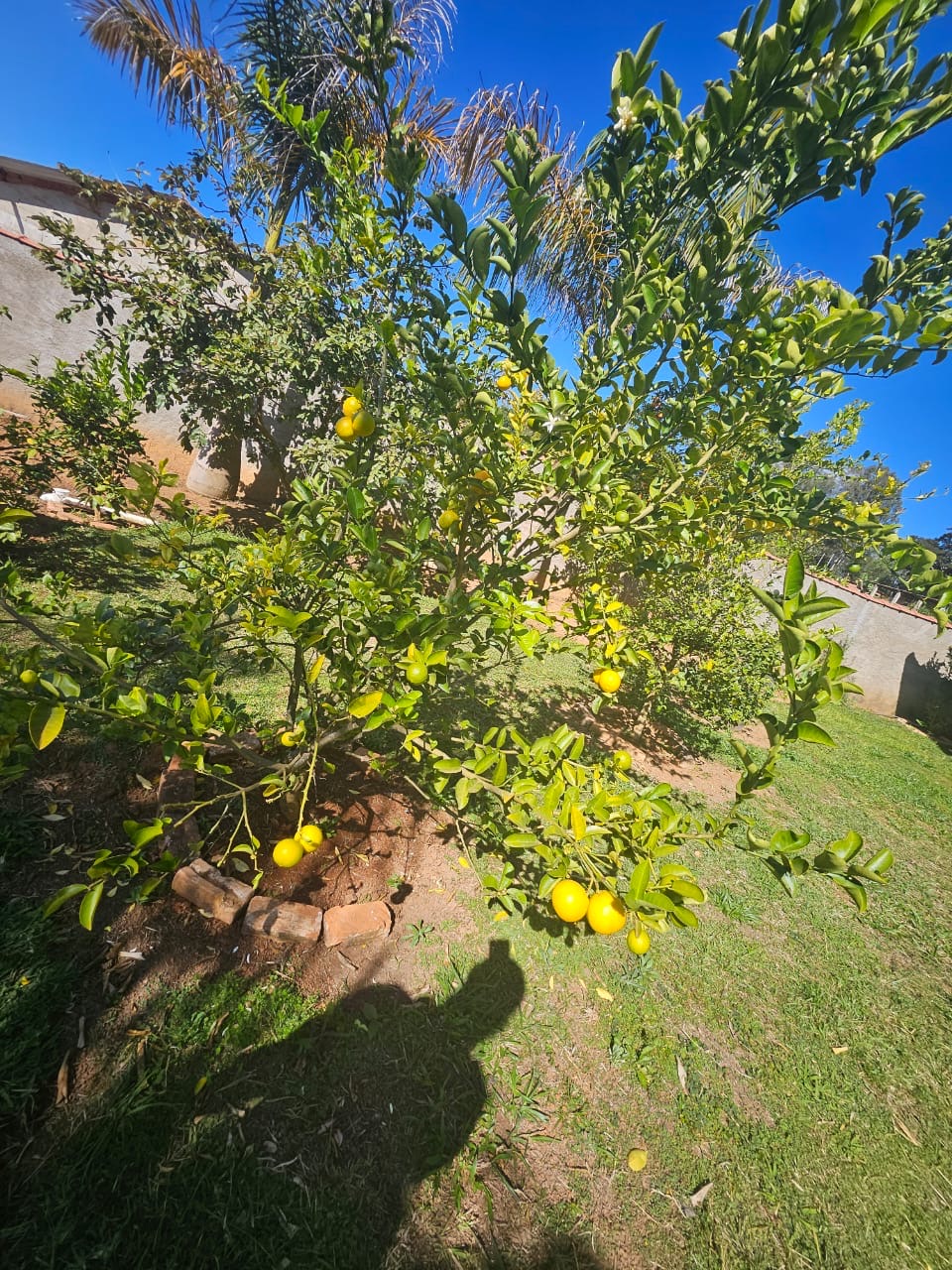 Chácara para venda em Caxambu MG.