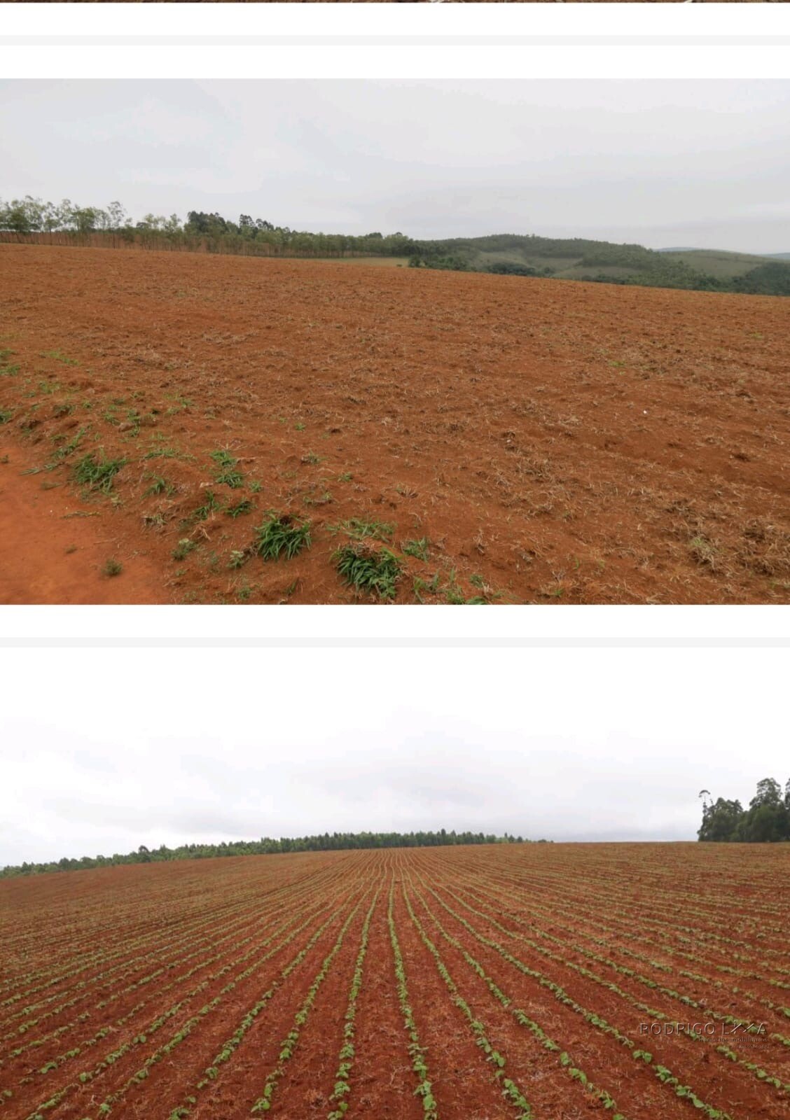 Linda fazenda para venda em Guapé - MG.