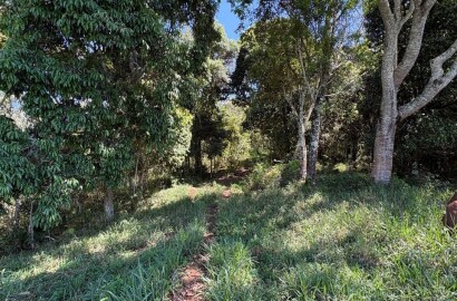 Terreno Rural para venda em Dom Viçoso MG