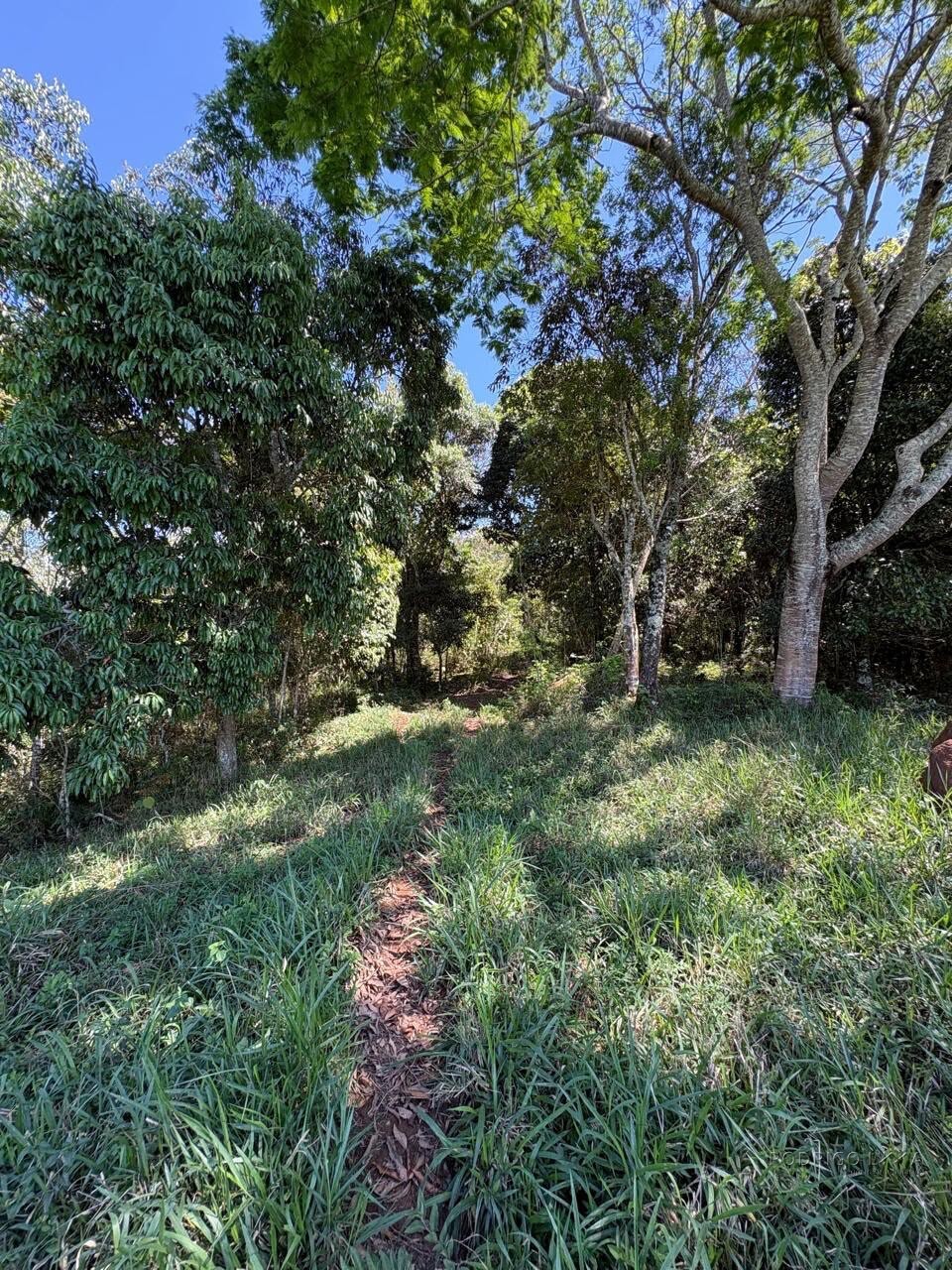 Terreno Rural para venda em Dom Viçoso MG